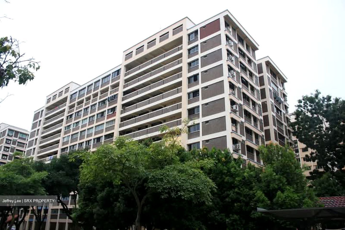 Blk 873 Yishun Street 81 (Yishun), HDB 4 Rooms #543840871